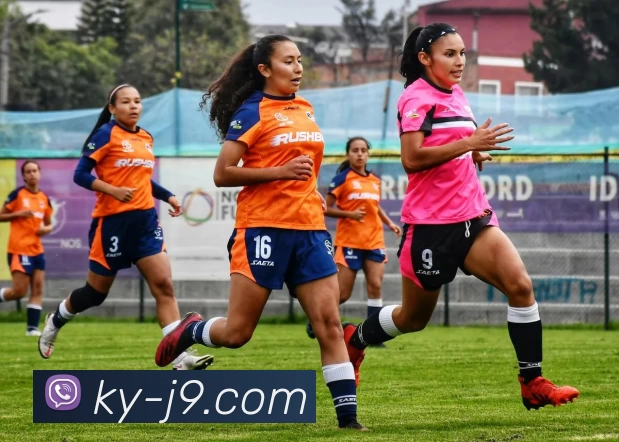 九游会APP 高清赛事图